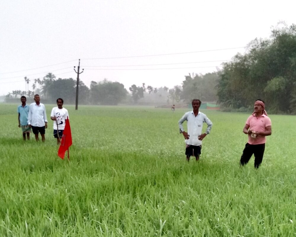 Land Struggle – Need to Look Back to Basics