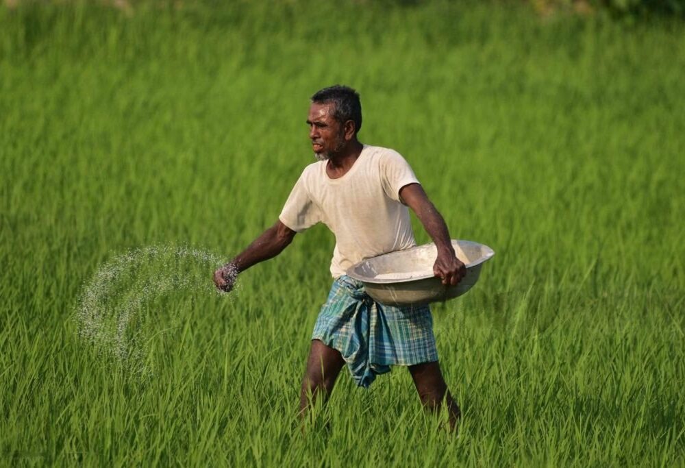 A Fertilizer Crisis Knocking at India’s Door